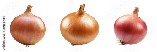 Wallpaper Mural A Set of Whole Fresh Onions with High-Resolution Detail Isolated on Transparent Background Torontodigital.ca