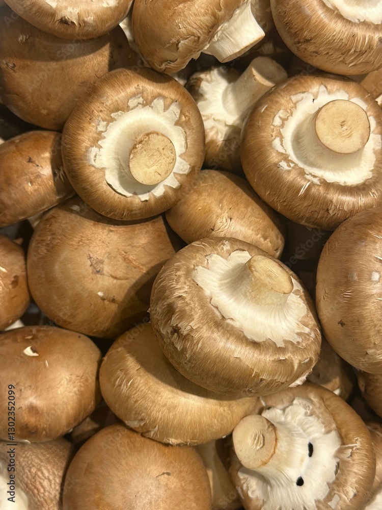 harvest of brown champignons on a store shelf harvest of brown champignons on a store shelf