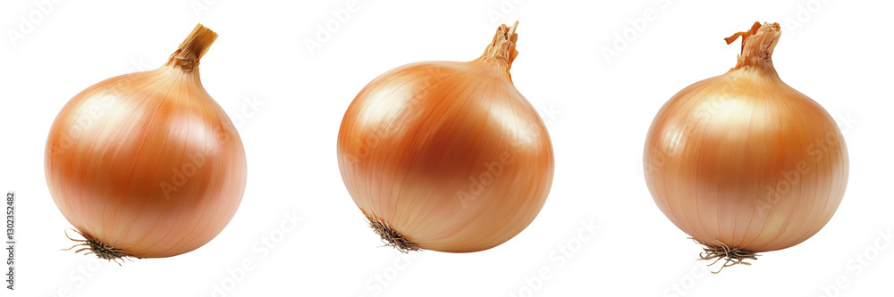 custom made wallpaper toronto digitalA Set of High-Quality Whole Onions with Natural Texture Isolated on Transparent Background