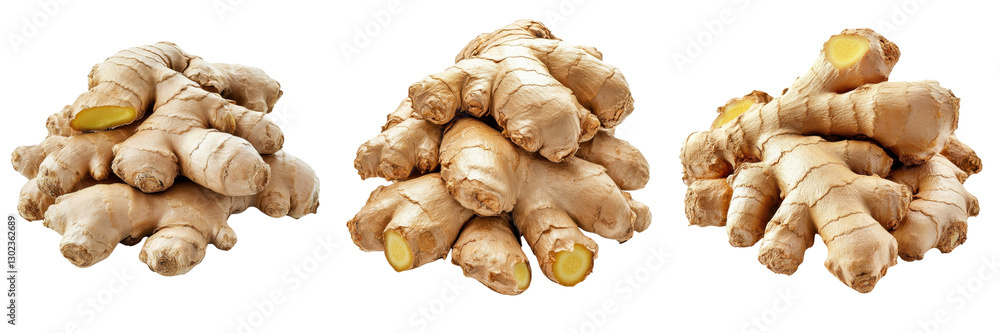 A Set of Freshly Harvested Hunan Ginger Roots with Natural Appeal Isolated on Transparent Background A Set of Freshly Harvested Hunan Ginger Roots with Natural Appeal Isolated on Transparent Background