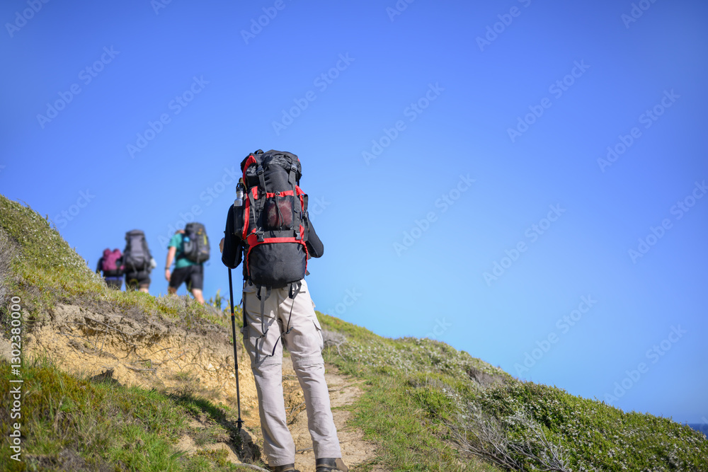 Backpacker hiking Cape Brett Walkway. Unrecognizable hikers in the distance. Bay of Islands.