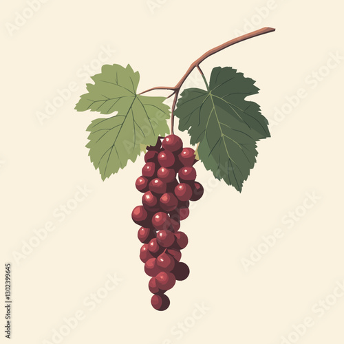 A flat 2D vector illustration of a bunch of grapes on a vine.