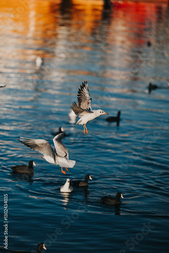 Seagull Flying Over Scenic Landscape