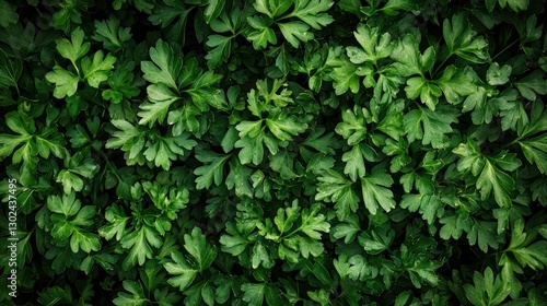Parsley