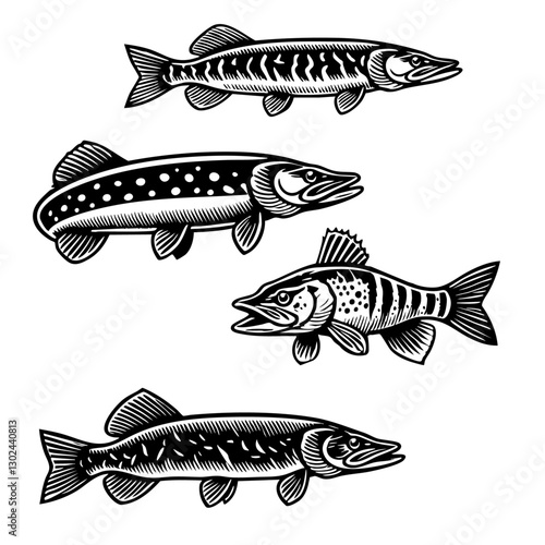 Silhouette vector pike fish set