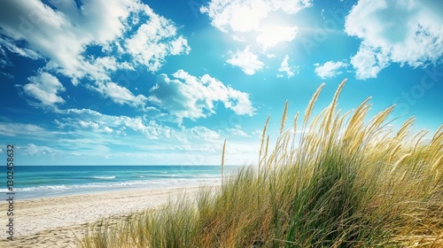 Fototapeta Naklejka Na Ścianę i Meble -  Seagrass