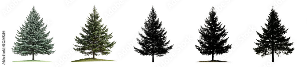 Fototapeta premium Collection of Various Pine Trees in Different Styles and Colors, PNG bundle collection, Isolated on Transparent Background