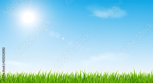 Sunny Day Landscape with Grass and Blue Sky