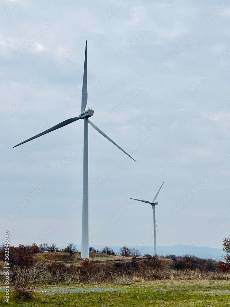 wind turbines farm