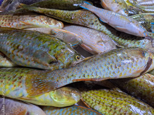 piles of parrot fish caught by fishermen for sale at the market photo