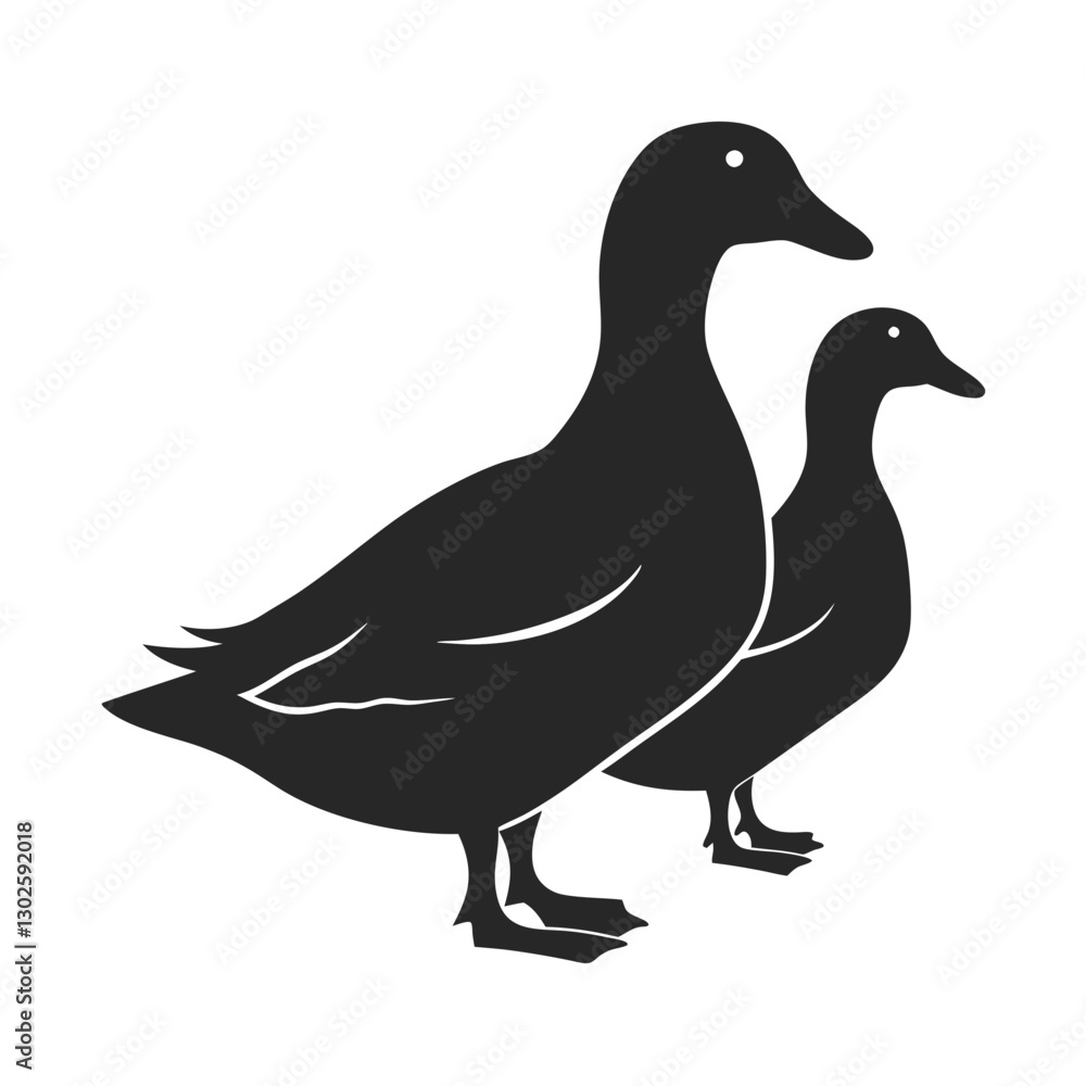 Duck Silhouette vector illustration Duck Silhouette vector illustration