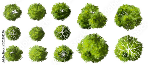 Vertor set of green tree,plants top view for landscape plan,schematic layout,eco environment concept design,watercolor greenery illustration