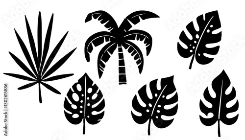 Beautiful tropical palm and plants set. Vector silhouette exotic floral leaves. Floral leaf decoration. Monstera black art design.