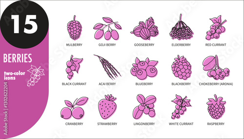 Set of berries thin line icons with pink fill. Raspberry, strawberry, cranberry, gooseberry, currant, blueberry, blackberry, mulberry, goji berry, elderberry, acai berry, aronia, vector illustration