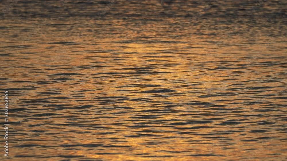 Water, Sunset, Reflection - Calm water reflecting a sunset, creating a golden hue. Water, Sunset, Reflection - Calm water reflecting a sunset, creating a golden hue.