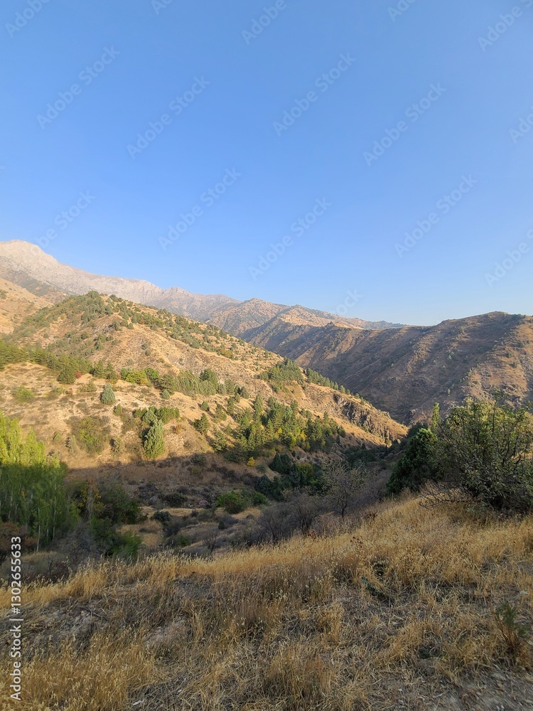 Golden sunlight over a rugged mountain valley Golden sunlight over a rugged mountain valley