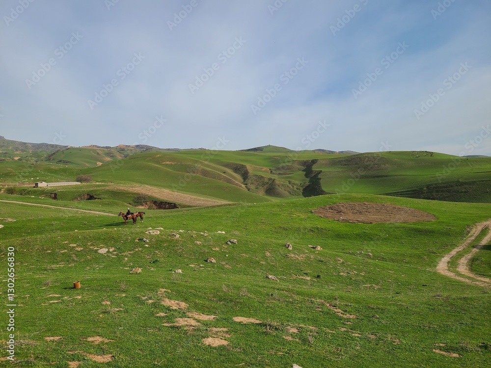 Horse rider in green countryside with rolling hills Horse rider in green countryside with rolling hills