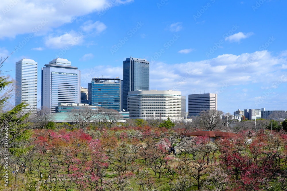 大阪城公園の梅林 大阪城公園の梅林
