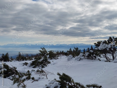 Fototapeta Naklejka Na Ścianę i Meble -  piękny krajobraz zimą w beskidach