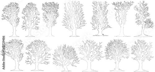 Tree elevation line silhouettes set