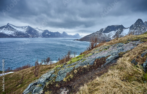 wintry  sea and mountain la...