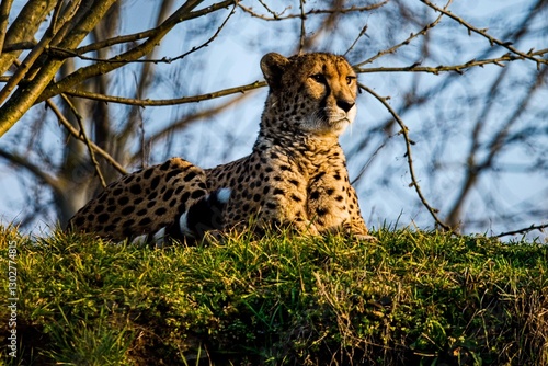 Few shots in Prague ZOO, Czech republic 