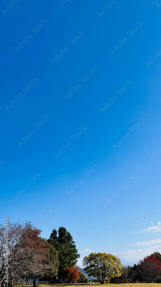 Obraz premium 天高い秋の空