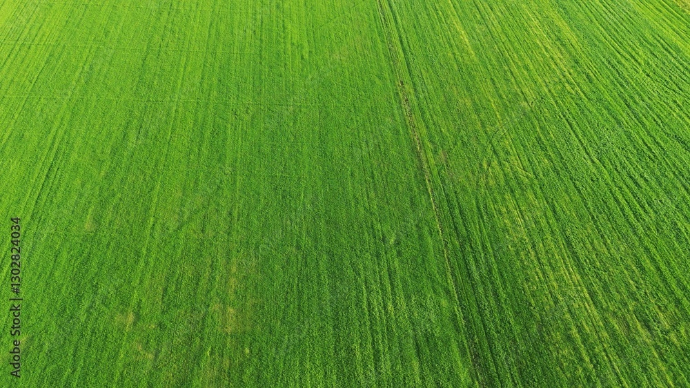 Farmland and fields captured from a drone Farmland and fields captured from a drone