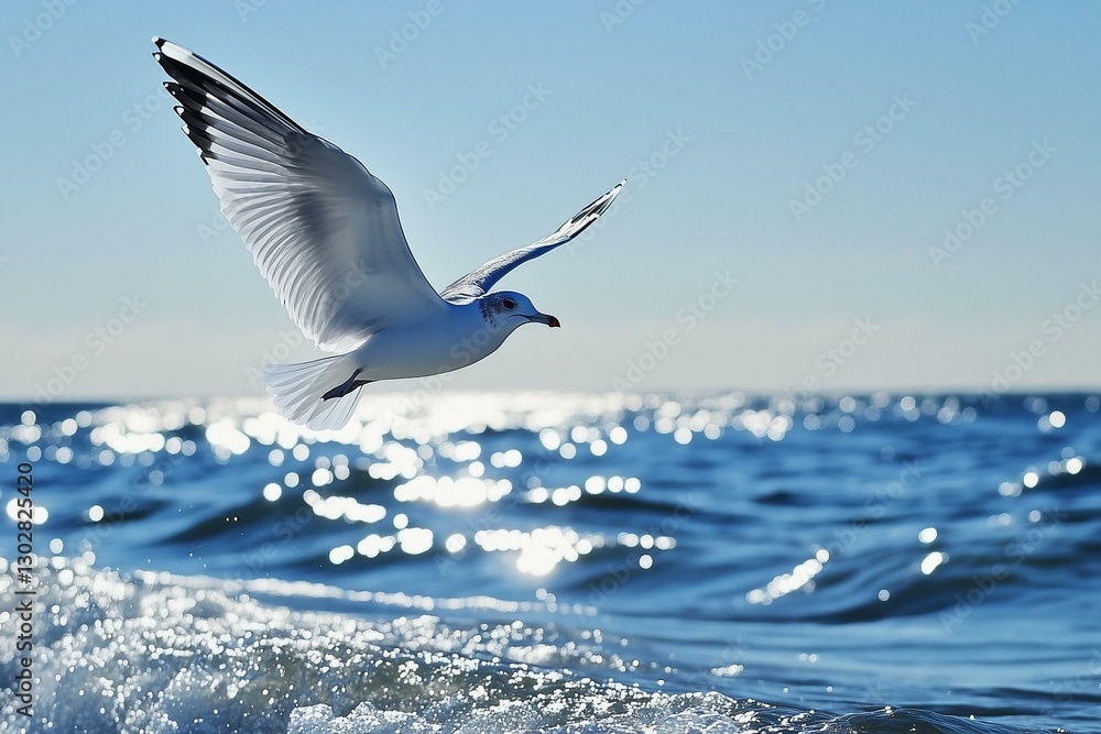 Fototapeta premium A seagull gracefully soars over the shimmering ocean under a clear blue sky