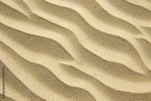 Fototapeta Naklejka Na Ścianę i Meble -  Close-up of textured sand dunes with smooth wind-formed patterns. Natural desert surface background.