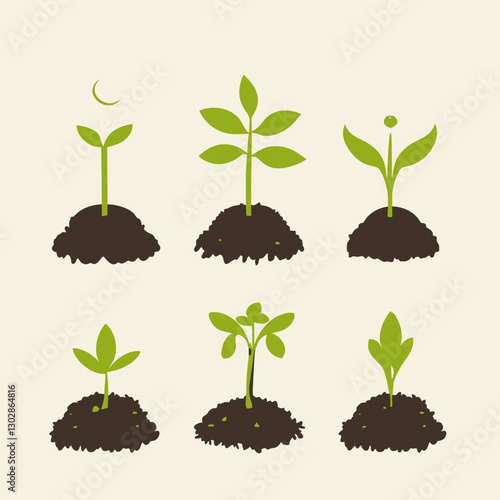 Plant Growth Stages in Soil - Seed, Sprout, Sapling, Flower Development