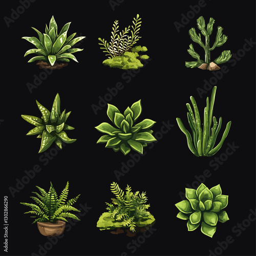 Assorted Green Potted Plants and Succulents, Botanical Illustrations