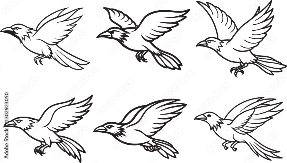 set of flying raven bird line art, black outline, vector and illustration, coloring book page line art drawing set of flying raven bird line art, black outline, vector and illustration, coloring book page line art drawing