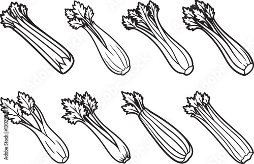 set of celery vegetable line art, black outline, vector and illustration, coloring book page line art drawing