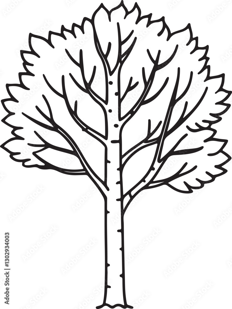 Obraz premium birch tree line art, black outline, vector and illustration, coloring book page line art drawing