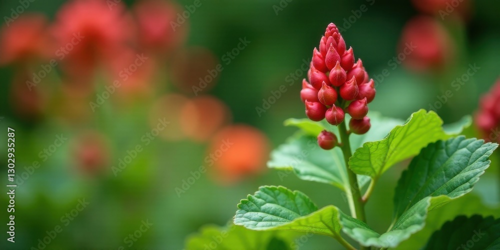 A vibrant close-up showcasing a single, unique red flower bud, encircled by lush green foliage and a soft-focus backdrop of similar blooms. A vibrant close-up showcasing a single, unique red flower bud, encircled by lush green foliage and a soft-focus backdrop of similar blooms.