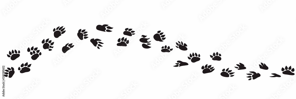 Obraz premium Vector cat paw prints