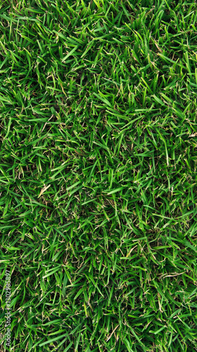 Close-up view of fresh green grass covering the ground, symbolizing nature, growth, freshness, and outdoor environments. Represents the beauty of natural landscapes and well-maintained lawns. photo