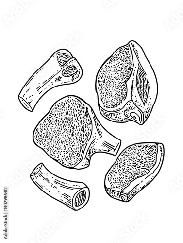 Engraved illustration of various cuts of meat on a plain background depicting a detailed study of different types of beef