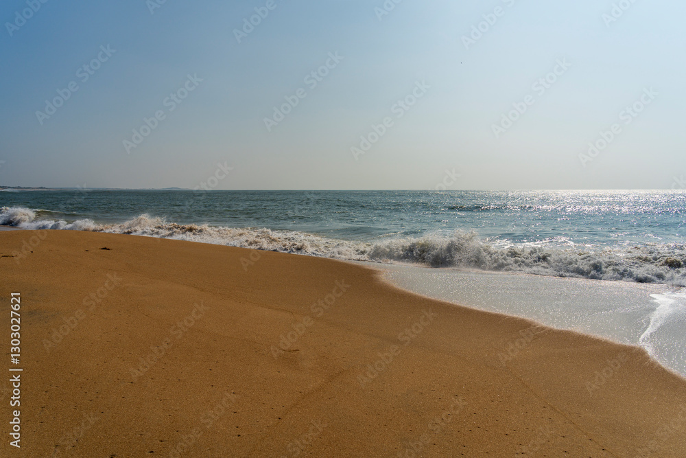 Printemps Éclatant : Jolie Plage au Sri Lanka Printemps Éclatant : Jolie Plage au Sri Lanka
