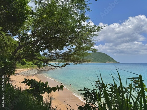 Caribbean landscape with view of a beach through tropical vegetation of Guadeloupe in the French West Indies
 photo