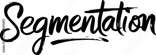 Stylish Typography: Handwritten 'Segmentation' in Bold Black Script – Perfect for Branding or Creative Projects