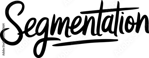 Stylized Vector Typography: Bold 'Segmentation' Text Design Suitable for Branding and Advertising