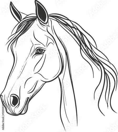 Elegant sketch of a horse's head with flowing mane in black and white.