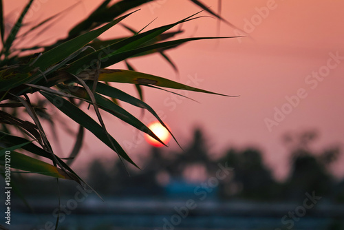 sunset on the lake