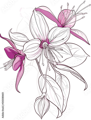 elegant illustration of gibbon flowers line art