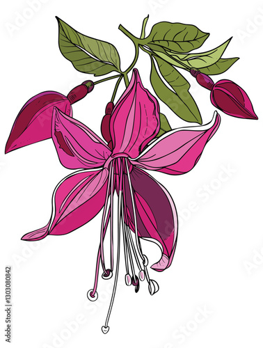 elegant illustration of gibbon flowers line art