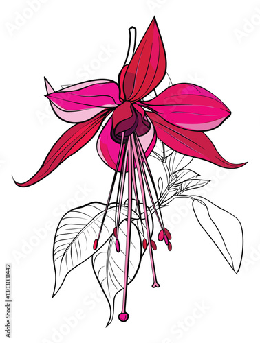 elegant illustration of gibbon flowers line art