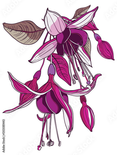 elegant illustration of gibbon flowers line art