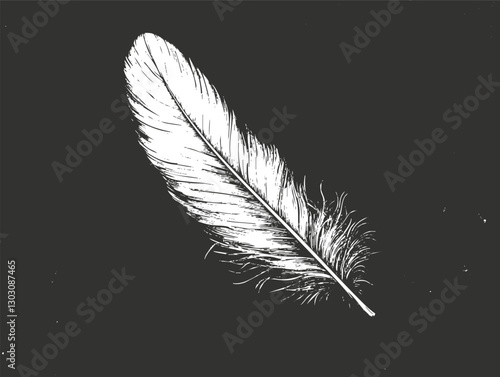 Black and white feather illustration with detailed textures and elegant design.